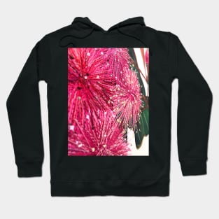 Musk Pink Thread Gum Flowers Design Hoodie